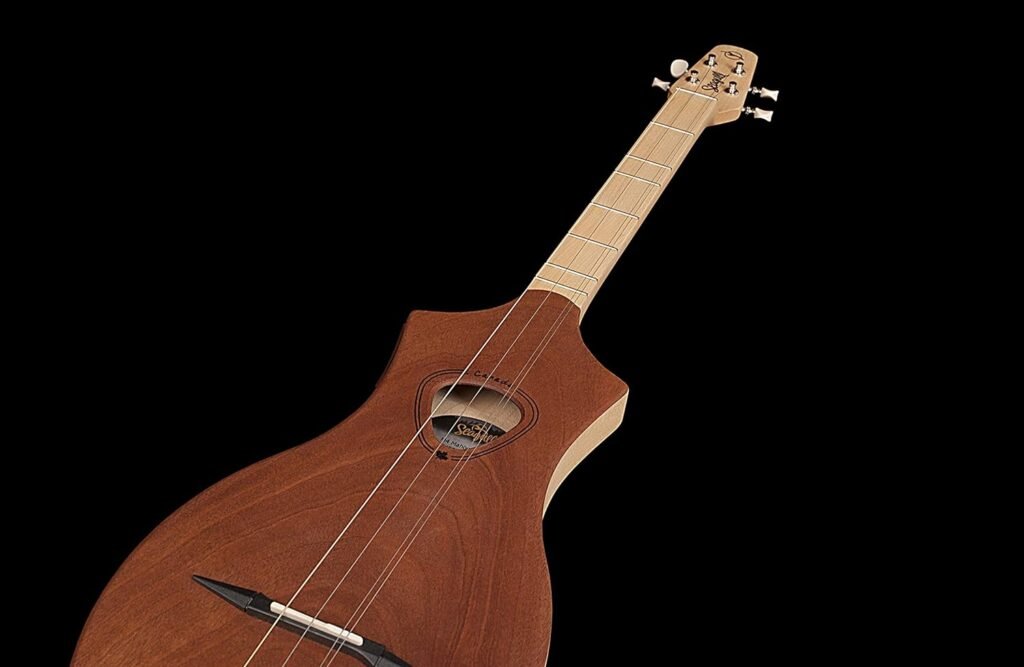 Seagull dulcimer